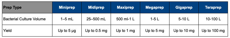 MC Plasmid DNA Purification Service